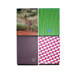 Zznamov kniha A5 200l linajkov