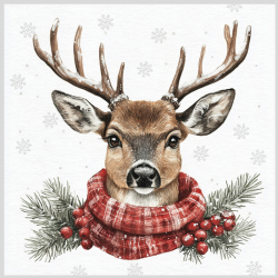 Pap.obr.3vr.JET 3-12005''K