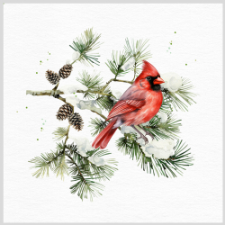 Pap.obr.3vr.JET 3-13317''K