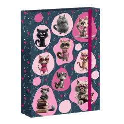 kolsk box A4 Cat Life REYBAG