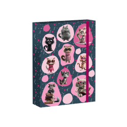 kolsk box A5 Cat Life REYBAG