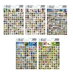 Nlepky - kolsk mini ARCH