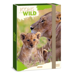 �kolsk� box A4 Lions ARS UNA