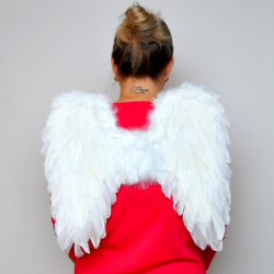 Vian.M krdla 8885878