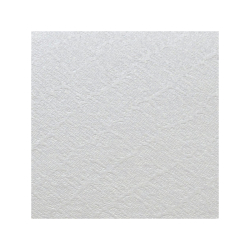 Vizitkov� papier ASTROSILVER Diagonale 220g