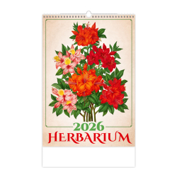 Nstenn kalendr Herbarium 26