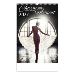 N�stenn� kalend�r Charm of the Moment 2027