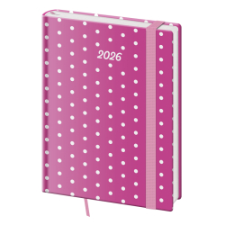 Dir VARIO B6 denn Pink 2026