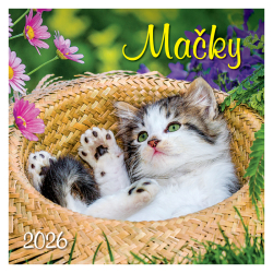 Nstenn kalendr Maky 2026