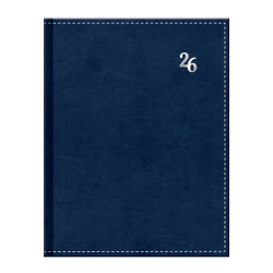 Dir Manager tdenn Neapol modr 2026