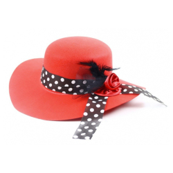 KLOBUK DAMA DOSPELA 900523