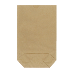 VRECK KUPECK X dno 3 kg , 245 x 365 mm,100 ks