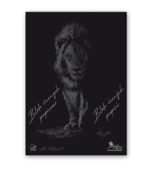 S42 VKRESNK SKICR IERNY A4 20 list. 10/1920