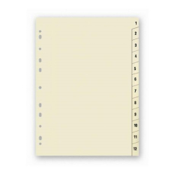 ROZRAOVA KARTNOV FORMT A4 1 - 12     199.00