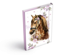 DOSKY NA ZOITY BOX A5 K     8021025