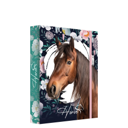 BOX NA ZOITY A5 JUMBO MAX HORSE     251206