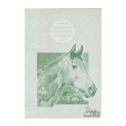 Zoit 425 tvorekov 20listov EKO recyklovan NOTES