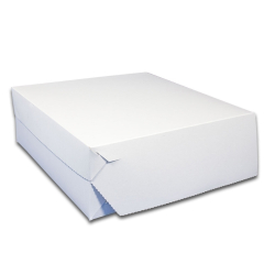 TORTOV KRABICA PEVN 20x20x10 cm BIELA   900.20