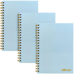 pirlov zoit, B5, linajkov, 80 listov, FSC, PUKKA PAD "Carpe Diem", nebesk modr