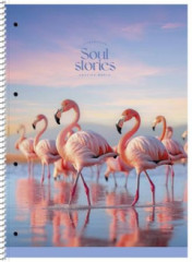 �pir�lov� zo�it, A4+, linajkov�, 80 listov, SHKOLYARYK "Soul Stories", mix